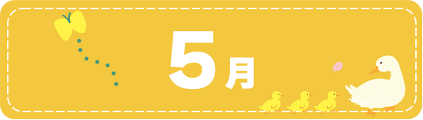 5月
