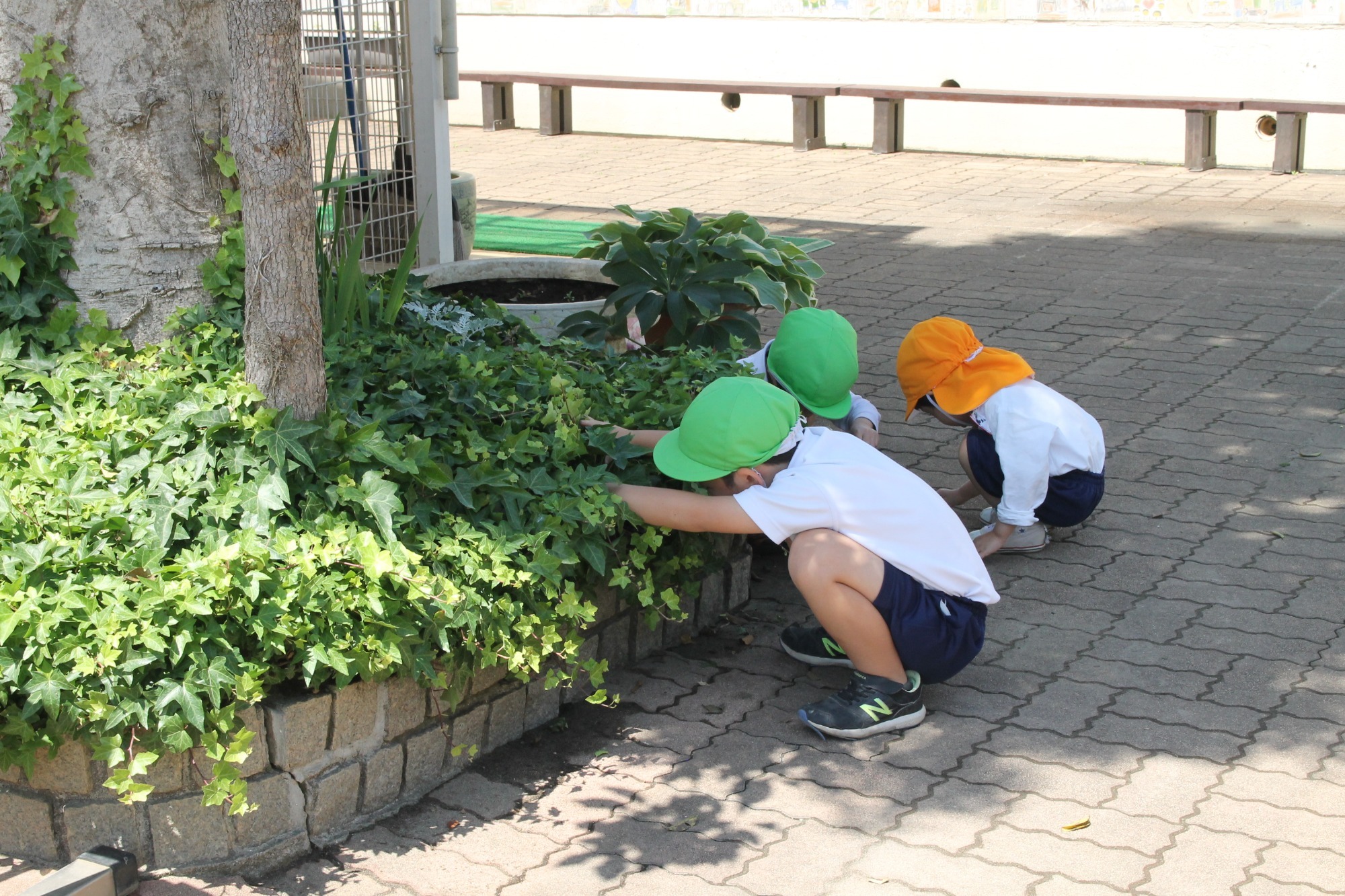 園生活イメージ