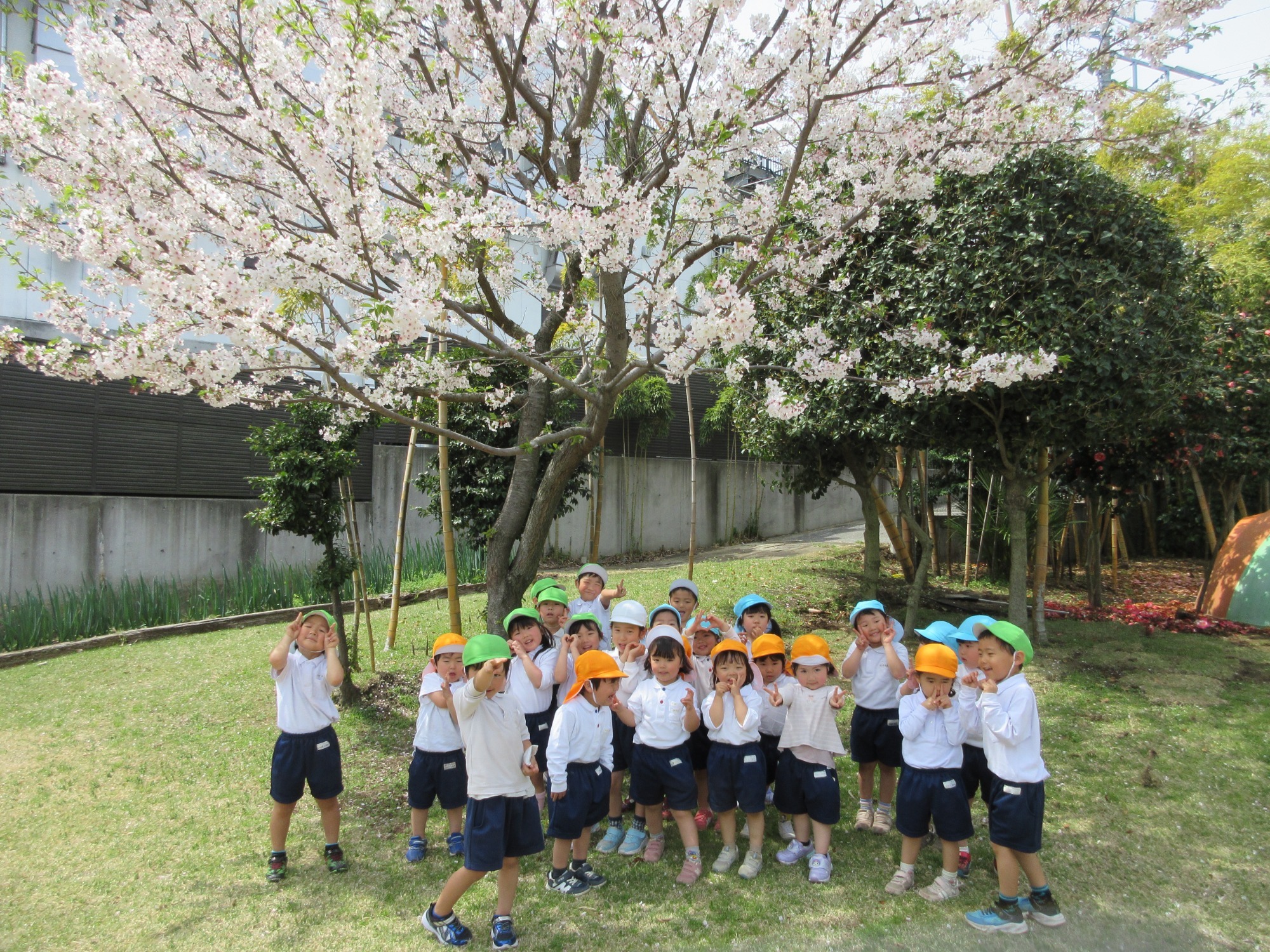 幼稚園イメージ